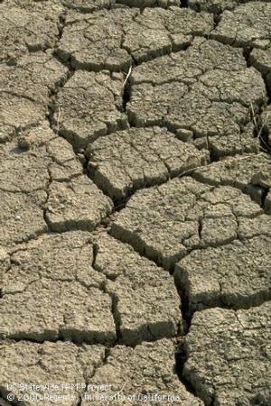 Deep cracks in dry soil from drought.